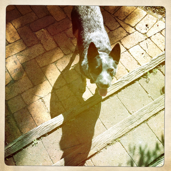 Hip 334108693.378020