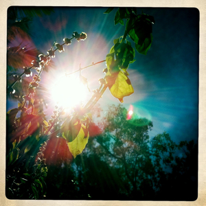 Hip 331781664.470975