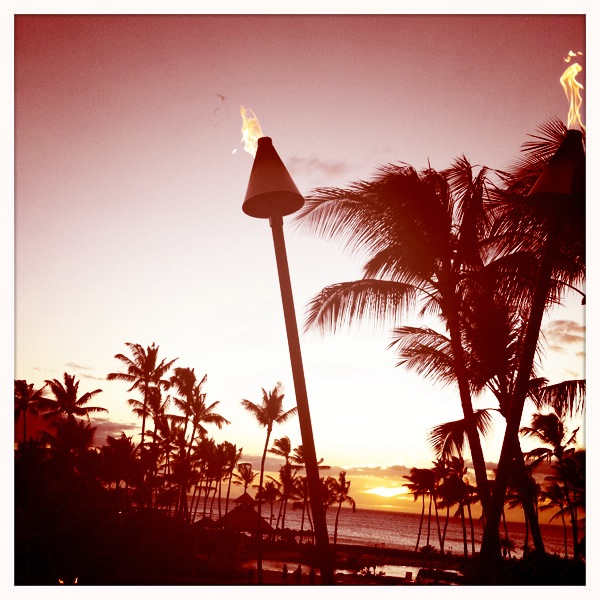 Hip 335162756.670042