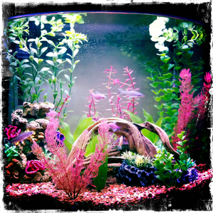 Hip 335160934.445413