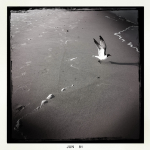 Hip 329091850.346061