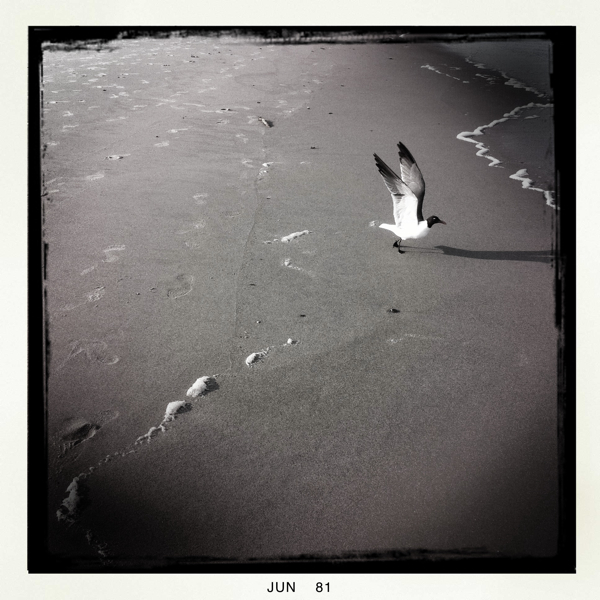 Hip 329091850.346061