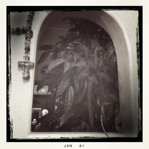 Hip 317962200.488890