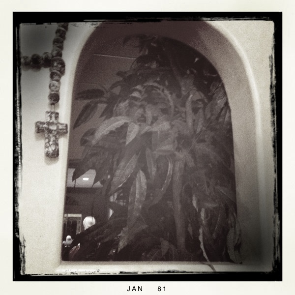 Hip 317962200.488890