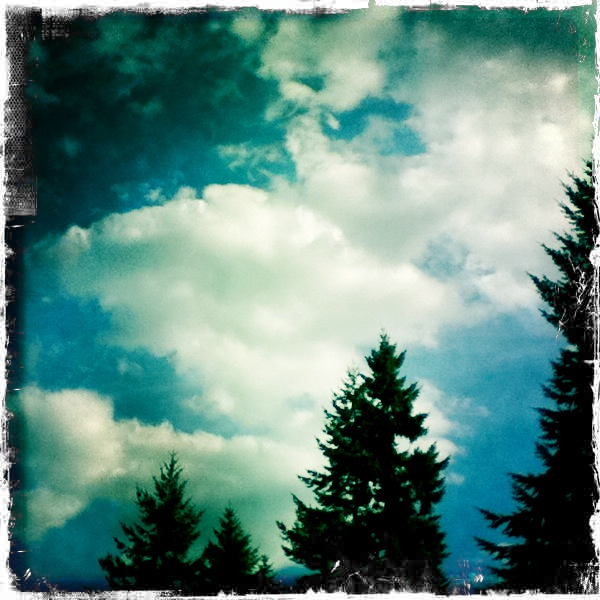 Hip 335147054.733346