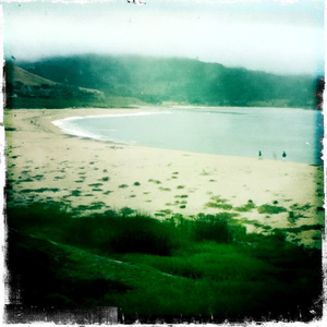 Hip 334357225.022343