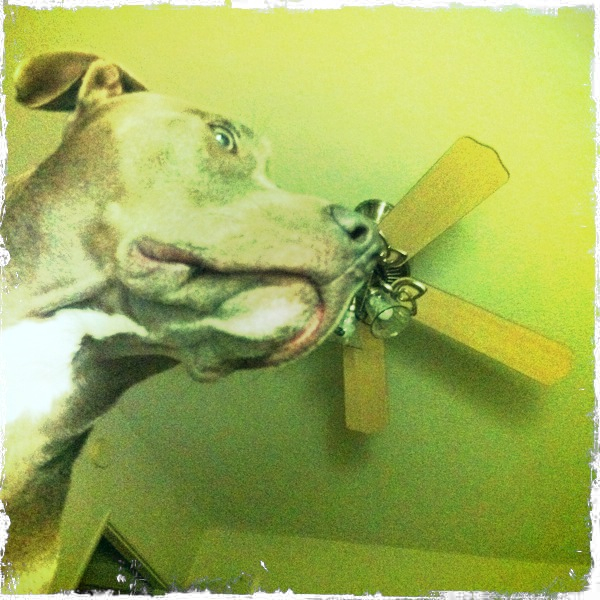 Hip 335249373.191788