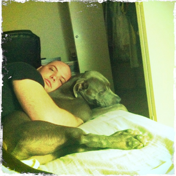 Hip 335250853.197351