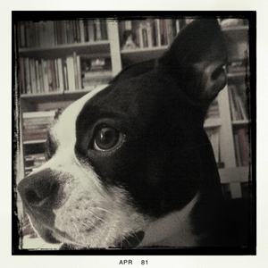 Hip 325400174.329074