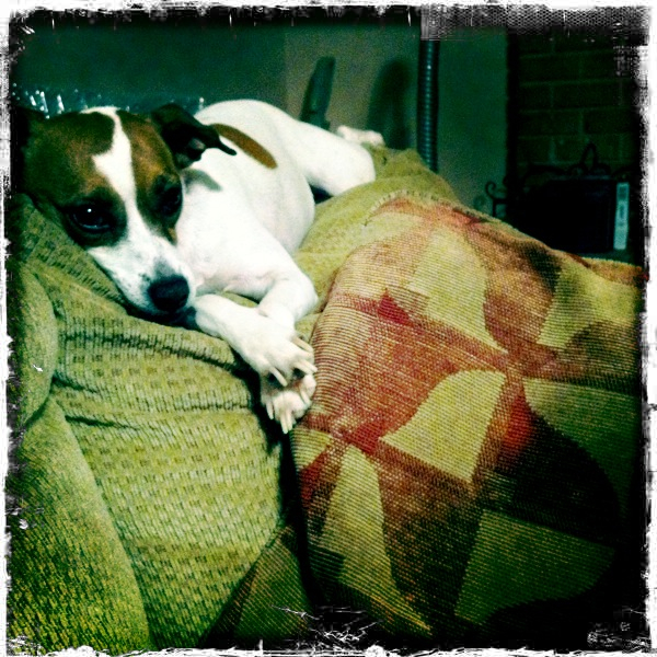 Hip 316484260.057376