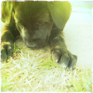 Hip 323567245.435421