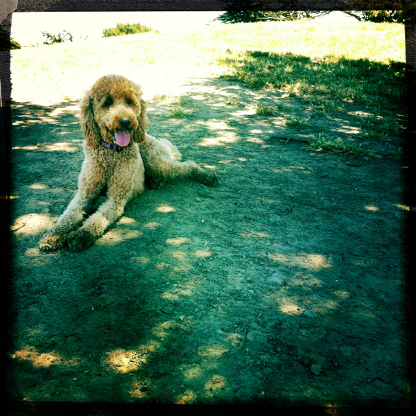 Hip 330204890.717873