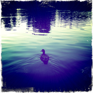 Hip 332651609.825662