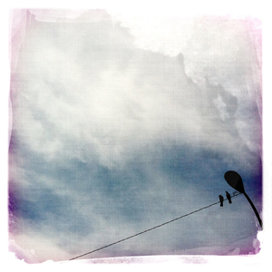 Hip 334699336.665010