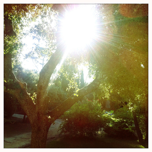 Hip 335256231.420804