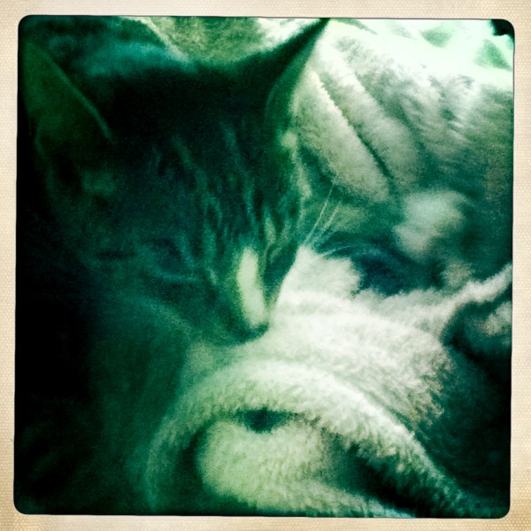 Hip 335256493.084830