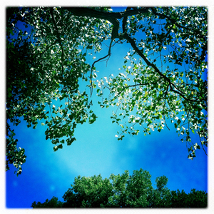 Hip 335205989.752730