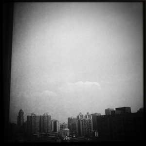 Hip 335252718.896495