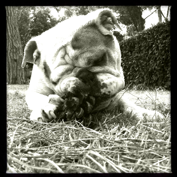 Hip 332844241.238779