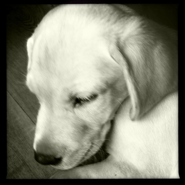 Hip 335002825.407765