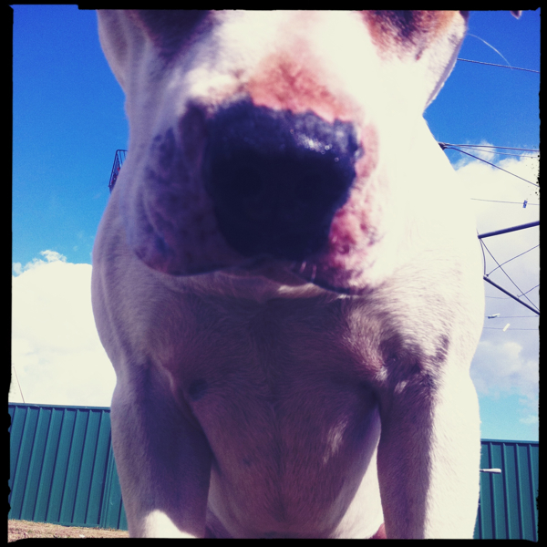 Hip 335072980.969484