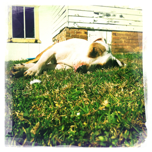 Hip 335072824.482955