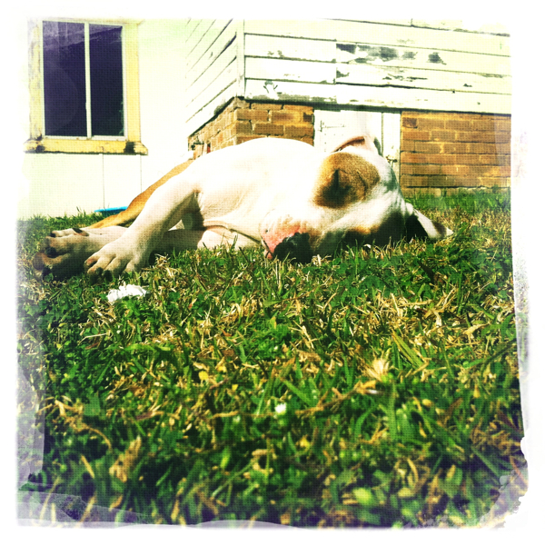 Hip 335072824.482955