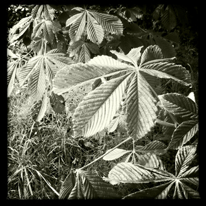 Hip 335260351.103753