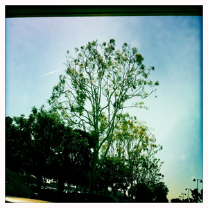 Hip 328489198.361291