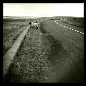 Hip 334754425.486078