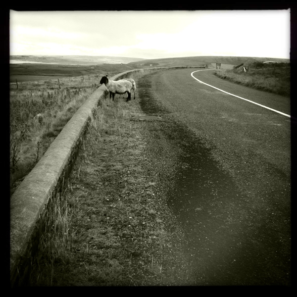 Hip 334754425.486078