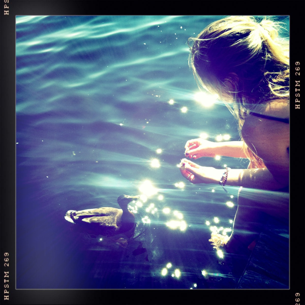 Hip 333463848.659992