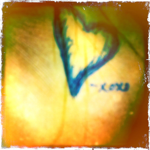 Hip 335264306.056570