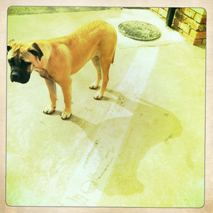 Hip 335266594.787575