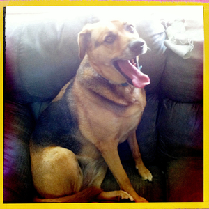 Hip 335138346.732202