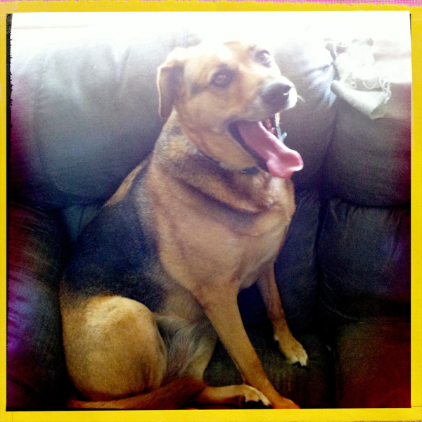 Hip 335138346.732202