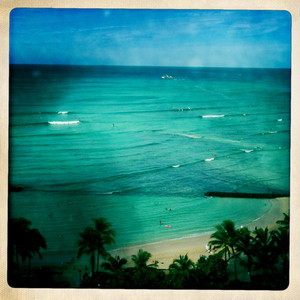 Hip 335041781.949587