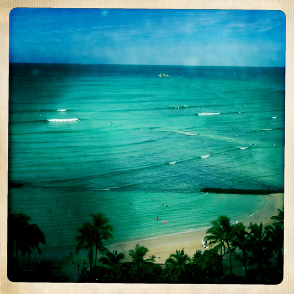 Hip 335041781.949587