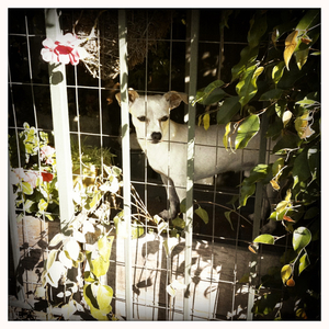 Hip 334455869.322586