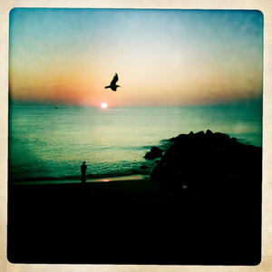 Hip 335267607.330818