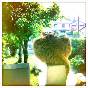 Hip 327570493.748388