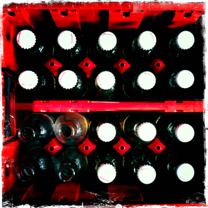 Hip 313072878.211150