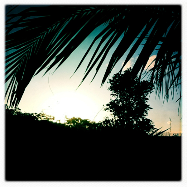 Hip 335170798.864067