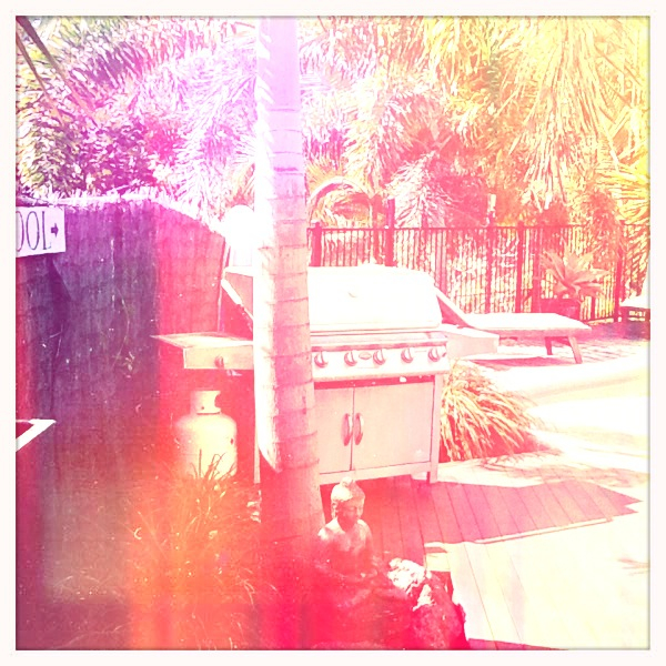 Hip 335156266.726581