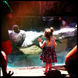 Hip 335208915.408184