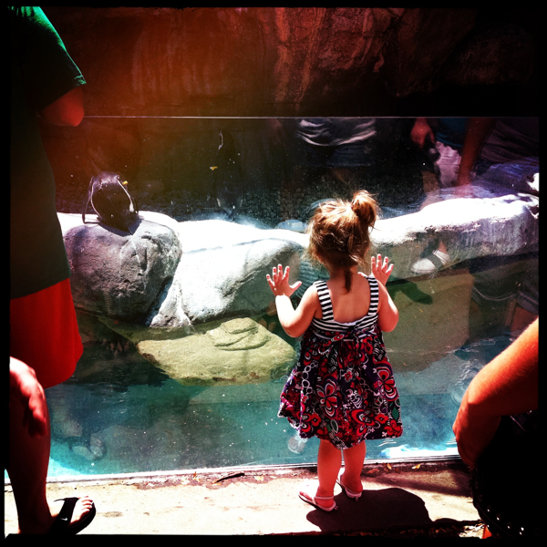 Hip 335208915.408184