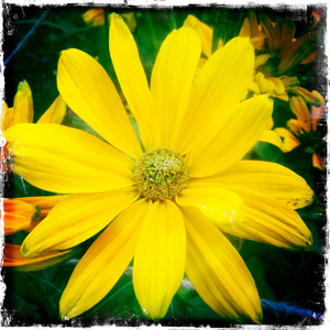 Hip 334969971.928710