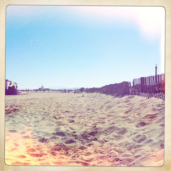 Hip 334681276.821960