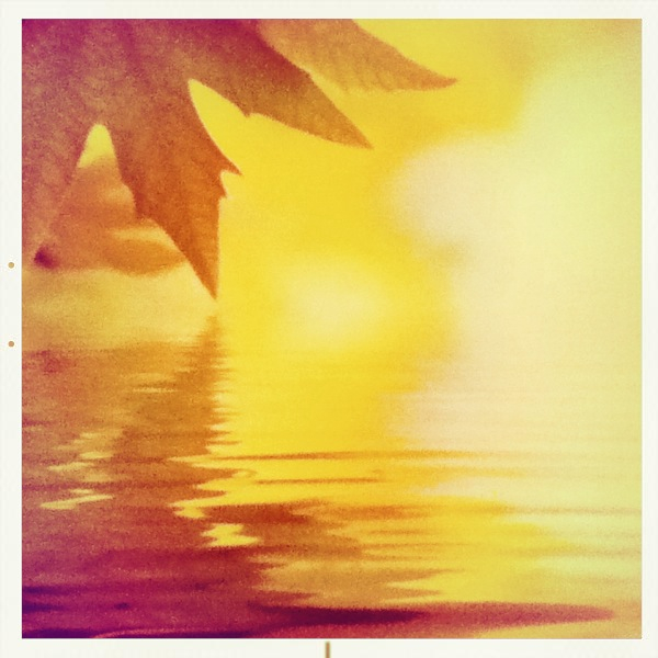 Hip 335136687.464075