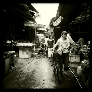 Hip 330161499.776920